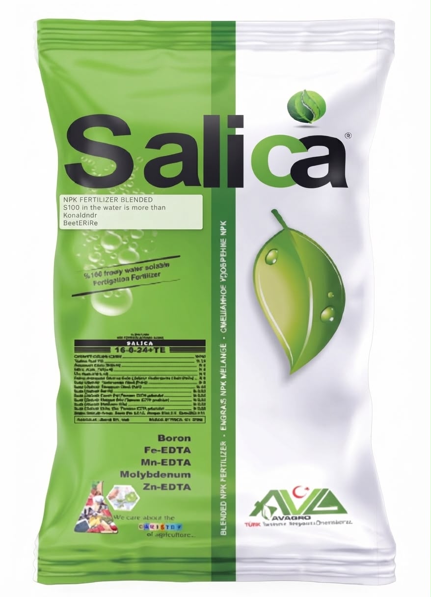 Salica